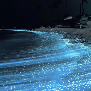 美女扒开胸罩👙给男生吃白头
