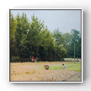 美女扒开胸罩👙给男生吃白头
