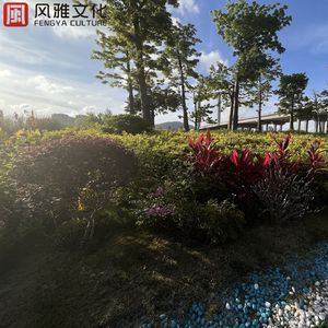 美女扒开胸罩👙给男生吃白头
